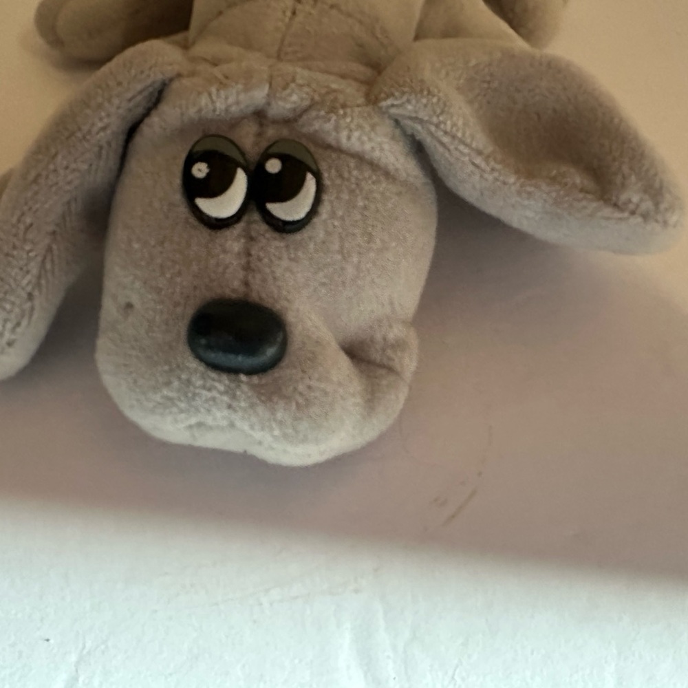 Pound puppy